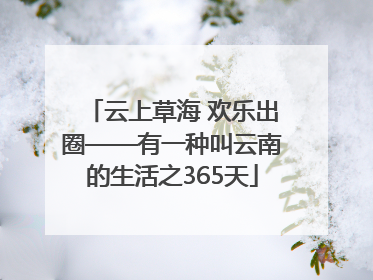 云上草海 欢乐出圈——有一种叫云南的生活之365天
