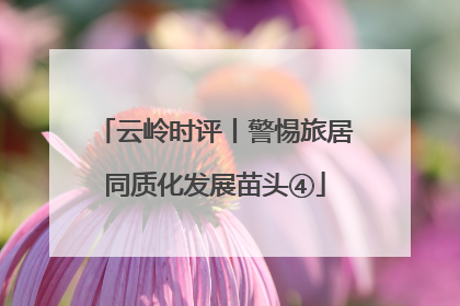 云岭时评丨警惕旅居同质化发展苗头④
