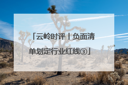 云岭时评丨负面清单划定行业红线③