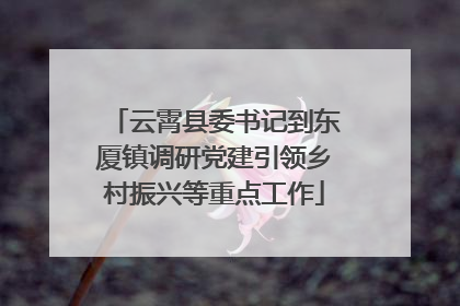 云霄县委书记到东厦镇调研党建引领乡村振兴等重点工作