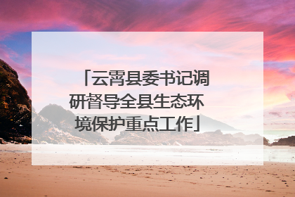 云霄县委书记调研督导全县生态环境保护重点工作