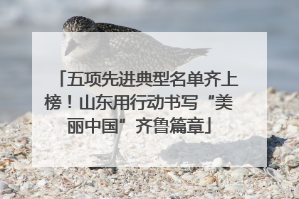 五项先进典型名单齐上榜！山东用行动书写“美丽中国”齐鲁篇章