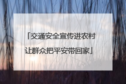 交通安全宣传进农村 让群众把平安带回家