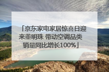 京东家电家居惊喜日迎来董明珠 带动空调品类销量同比增长100%
