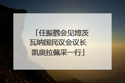 任振鹤会见博茨瓦纳国民议会议长凯奥拉佩采一行
