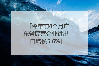 今年前4个月广东省民营企业进出口增长5.6%