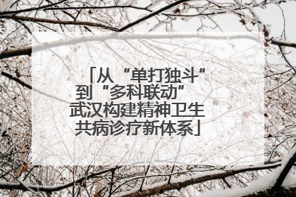 从“单打独斗”到“多科联动” 武汉构建精神卫生共病诊疗新体系