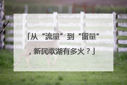 从“流量”到“留量”，新民歌湖有多火？