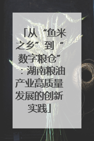 从“鱼米之乡”到“数字粮仓”：湖南粮油产业高质量发展的创新实践