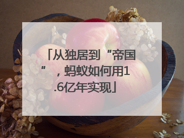 从独居到“帝国”，蚂蚁如何用1.6亿年实现
