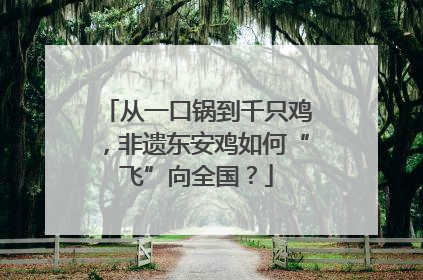 从一口锅到千只鸡，非遗东安鸡如何“飞”向全国？