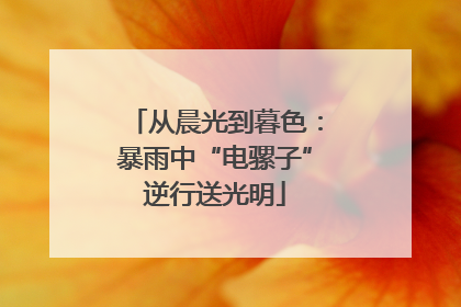 从晨光到暮色：暴雨中“电骡子”逆行送光明