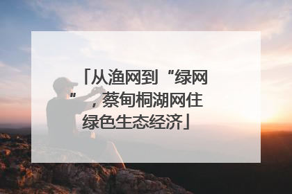 从渔网到“绿网”，蔡甸桐湖网住绿色生态经济