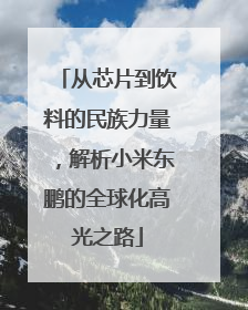 从芯片到饮料的民族力量，解析小米东鹏的全球化高光之路