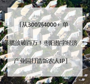 从300到4000+ 单条播放破百万！枣阳数字经济产业园打造新农人IP