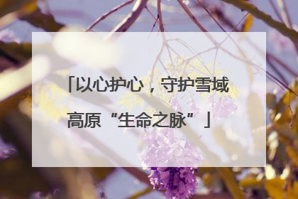 以心护心，守护雪域高原“生命之脉”