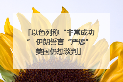 以色列称“非常成功” 伊朗誓言“严惩” 美国仍想谈判