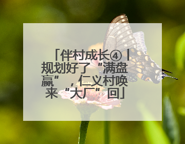 伴村成长④丨规划好了“满盘赢”，仁义村唤来“大厂”回