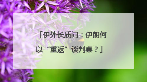 伊外长质问：伊朗何以“重返”谈判桌？