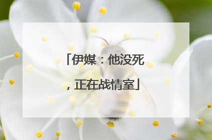 伊媒：他没死，正在战情室