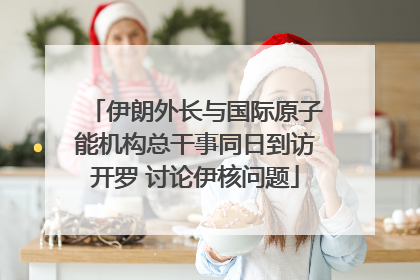 伊朗外长与国际原子能机构总干事同日到访开罗 讨论伊核问题
