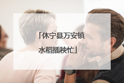 休宁县万安镇水稻插秧忙