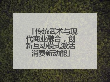 传统武术与现代商业融合，创新互动模式激活消费新动能