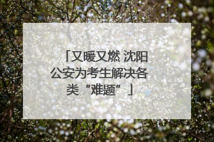 又暖又燃 沈阳公安为考生解决各类“难题”