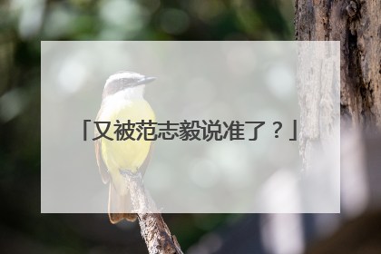 又被范志毅说准了？