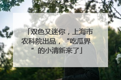 双色又迷你，上海市农科院出品，“吃瓜界”的小清新来了