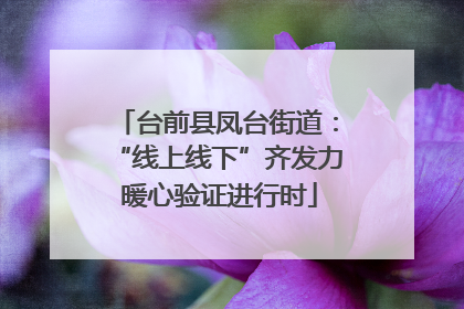 台前县凤台街道：“线上线下”齐发力 暖心验证进行时