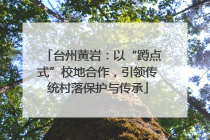 台州黄岩：以“蹲点式”校地合作，引领传统村落保护与传承