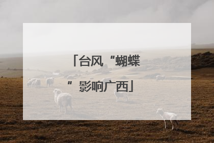 台风“蝴蝶”影响广西