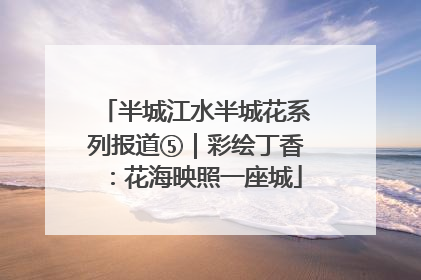 半城江水半城花系列报道⑤｜彩绘丁香：花海映照一座城