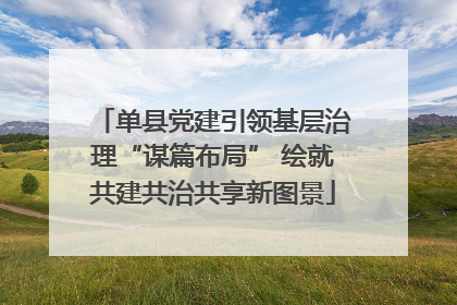 单县党建引领基层治理“谋篇布局” 绘就共建共治共享新图景