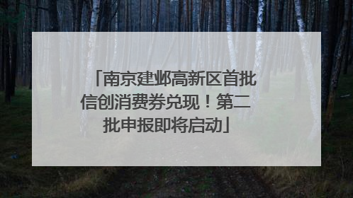 南京建邺高新区首批信创消费券兑现！第二批申报即将启动