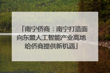 南宁侨商：南宁打造面向东盟人工智能产业高地给侨商提供新机遇