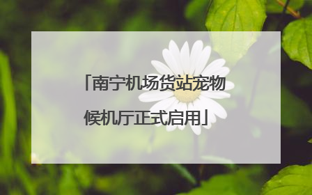 南宁机场货站宠物候机厅正式启用