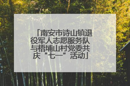 南安市诗山镇退役军人志愿服务队与梧埔山村党委共庆“七一”活动