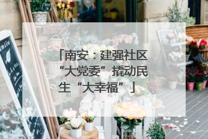 南安：建强社区“大党委”撬动民生“大幸福”