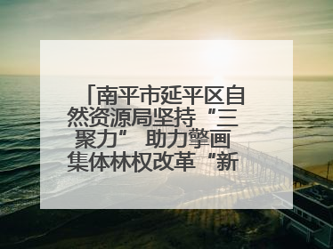 南平市延平区自然资源局坚持“三聚力” 助力擎画集体林权改革“新图景”