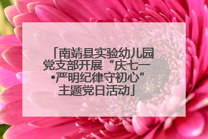 南靖县实验幼儿园党支部开展“庆七一•严明纪律守初心”主题党日活动