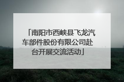 南阳市西峡县飞龙汽车部件股份有限公司赴台开展交流活动