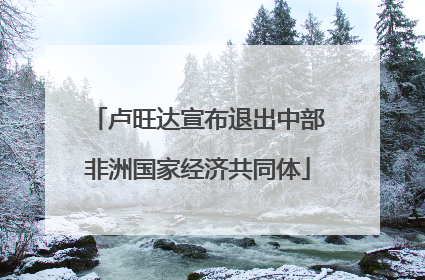 卢旺达宣布退出中部非洲国家经济共同体