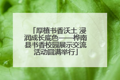 厚植书香沃土 浸润成长底色——桦南县书香校园展示交流活动圆满举行
