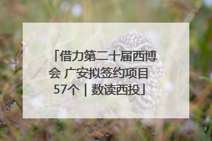 借力第二十届西博会 广安拟签约项目57个｜数读西投