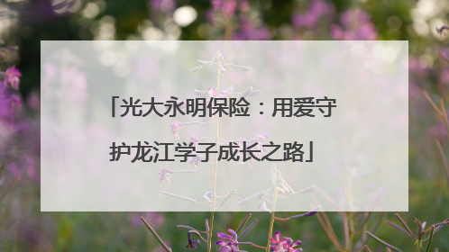 光大永明保险：用爱守护龙江学子成长之路