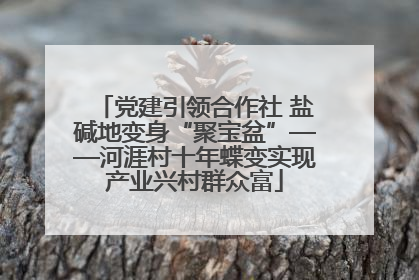 党建引领合作社 盐碱地变身“聚宝盆”——河涯村十年蝶变实现产业兴村群众富
