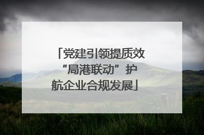 党建引领提质效 “局港联动”护航企业合规发展