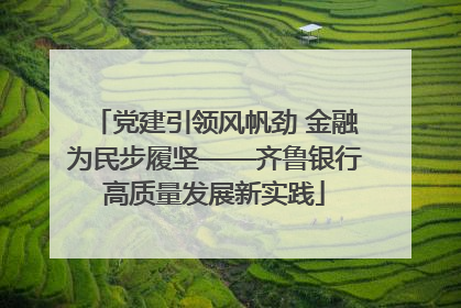 党建引领风帆劲 金融为民步履坚——齐鲁银行高质量发展新实践